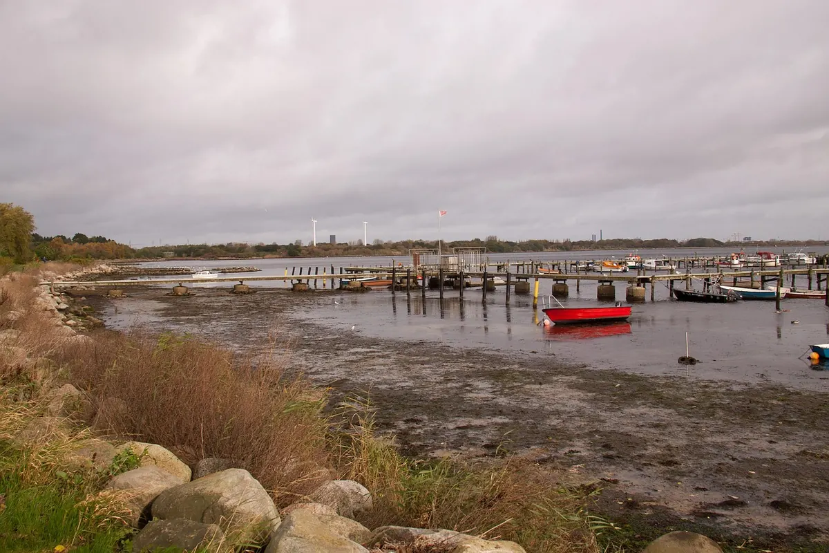 A Local's Checklist for Visiting Wessex Beaches: Tides, Parking, and Dog Rules